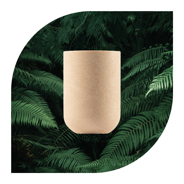 64320037-0-app 64320037-0-app