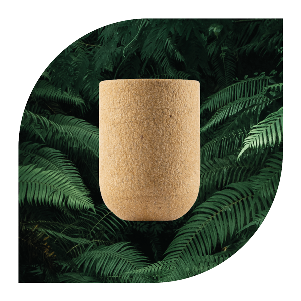 64320041-0-app2 64320041-0-app2